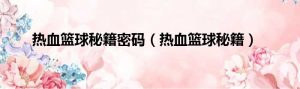 热血篮球秘籍密码（热血篮球秘籍）