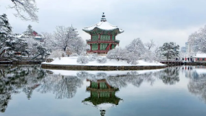 2023年8月中国飞韩国的机票贵吗
