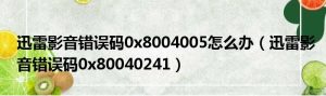 迅雷影音错误码0x8004005怎么办（迅雷影音错误码0x80040241）