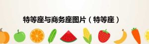 特等座与商务座区别（特等座）