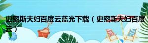 史密斯夫妇简介（史密斯夫妇百度云）