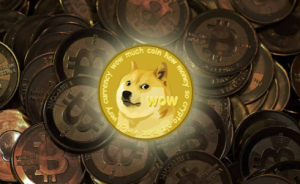 狗狗币可以提现到哪个钱包