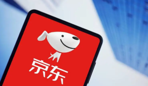 京东小金库转入可以立即使用吗