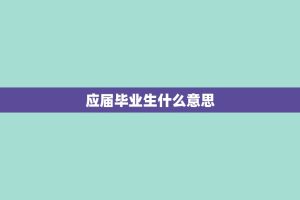 应届毕业生什么意思