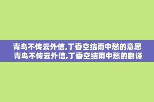 青鸟不传云外信,丁香空结雨中愁的意思 青鸟不传云外信,丁香空结雨中愁的翻译
