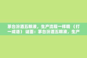 茅台汾酒五粮液，生产流程一样精 （打一成语） 谜面：茅台汾酒五粮液，生产流程一样精 （打一成语）