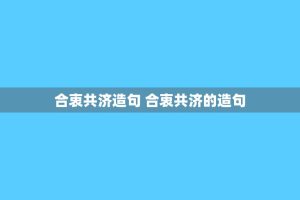 合衷共济造句 合衷共济的造句