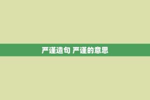 严谨造句 严谨的意思
