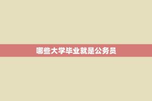 哪些大学毕业就是公务员