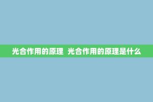 光合作用的原理 光合作用的原理是什么