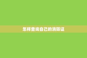 怎样查询自己的消防证