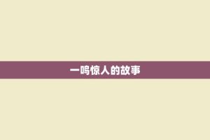 一鸣惊人的故事
