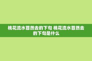桃花流水苜然去的下句 桃花流水苜然去的下句是什么