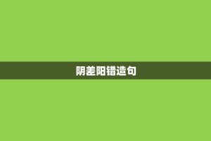 阴差阳错造句