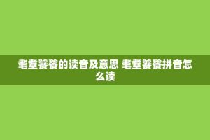 耄耋饕餮的读音及意思 耄耋饕餮拼音怎么读