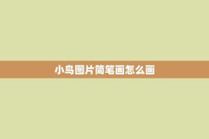小鸟图片简笔画怎么画