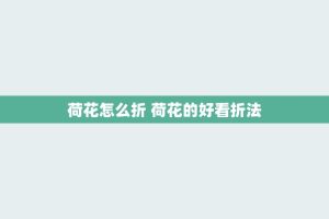 荷花怎么折 荷花的好看折法