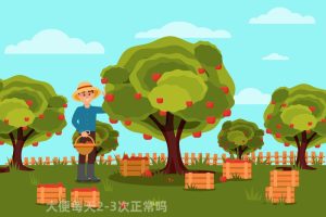 大便每天2-3次正常吗