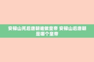 安禄山死后唐朝谁做皇帝 安禄山后唐朝是哪个皇帝