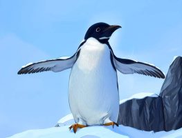 黑白之间的奇妙，企鹅的翅膀的作用