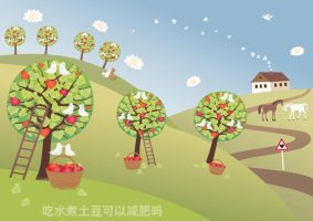 吃水煮土豆可以减肥吗