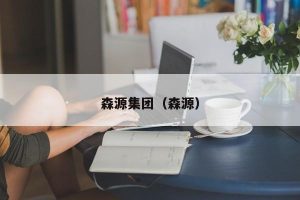 福建森源家具有限公司是国企吗(森源墙基布几线品牌)